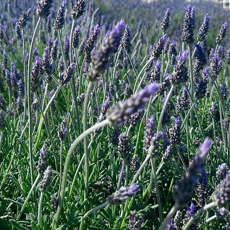 Coup De Coeur Linge De Maison Fournie إمبوريابرافا المظهر الخارجي الصورة